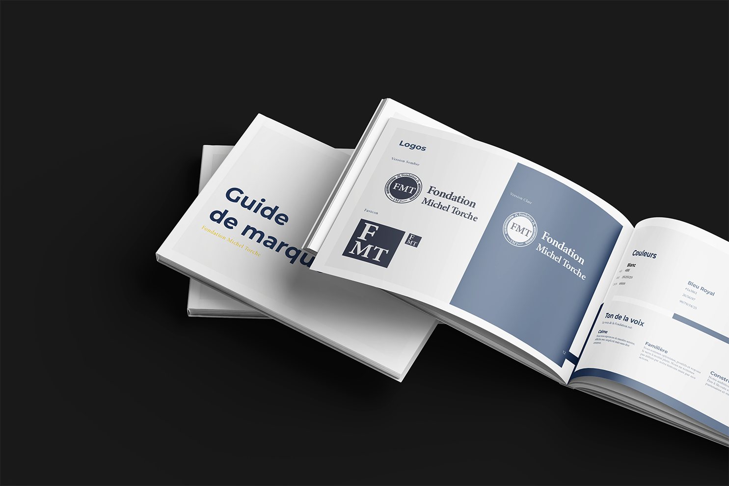 Guide de marque professionnel et brand guidelines pour la Fondation Michel Torche - Design graphique